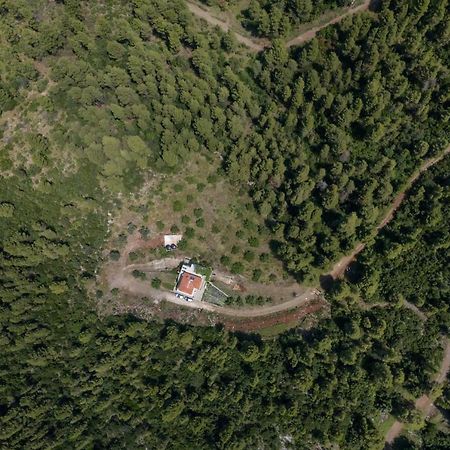 Dream House Capturing The Magic Of Nature Vlachia ภายนอก รูปภาพ