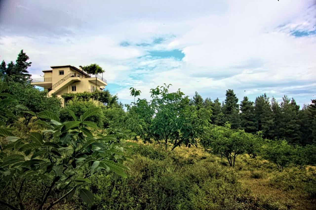 Dream House Capturing The Magic Of Nature Vlachia ภายนอก รูปภาพ