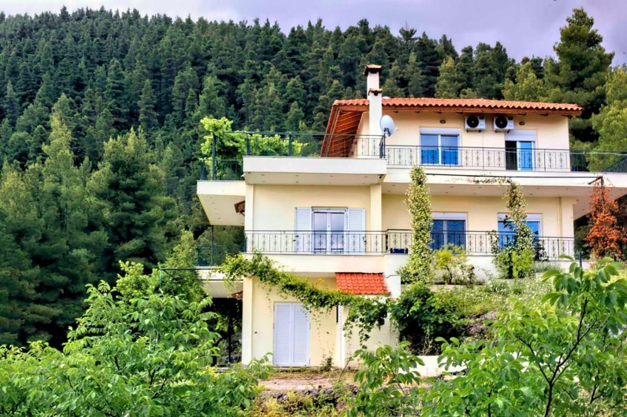Dream House Capturing The Magic Of Nature Vlachia ภายนอก รูปภาพ