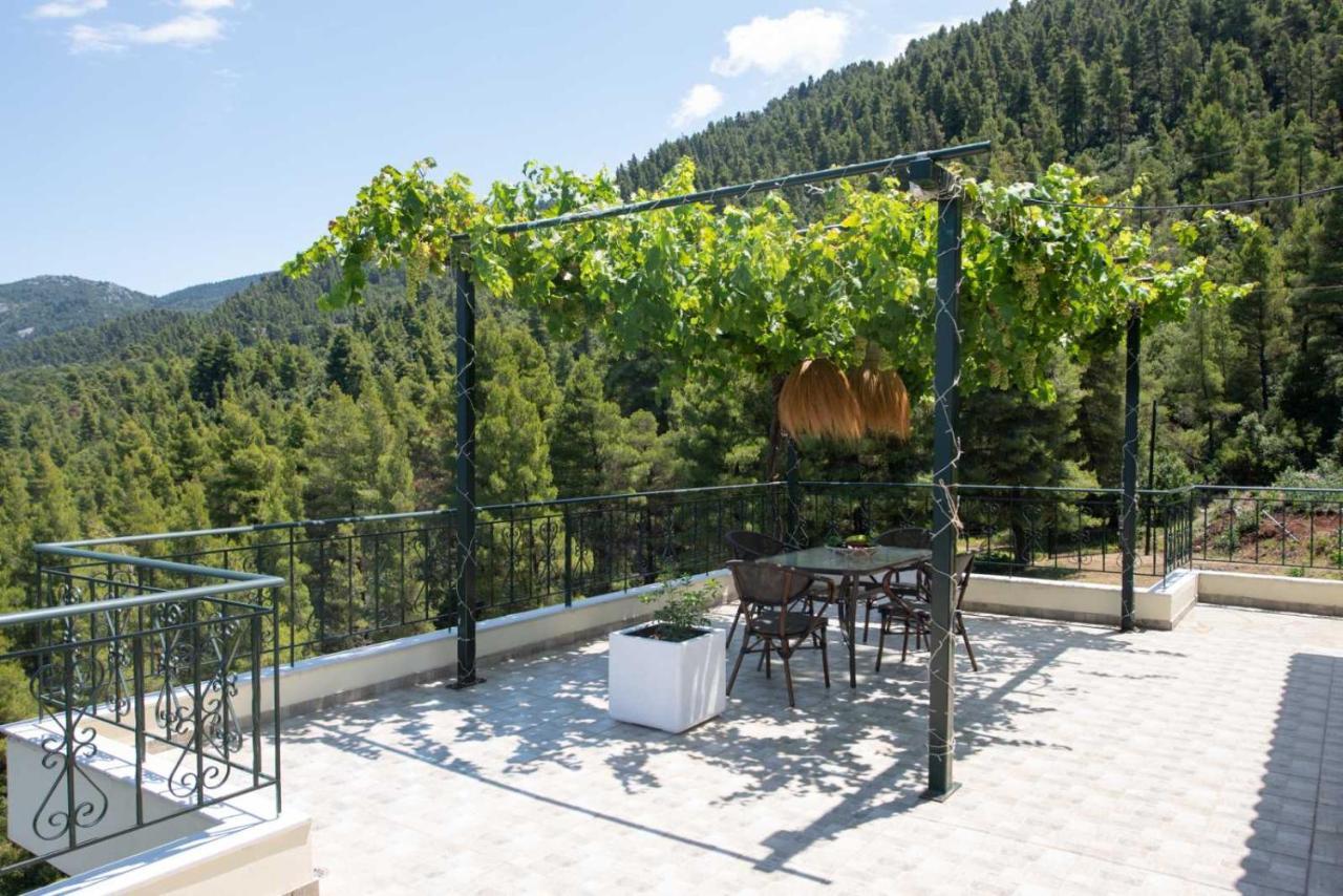 Dream House Capturing The Magic Of Nature Vlachia ภายนอก รูปภาพ