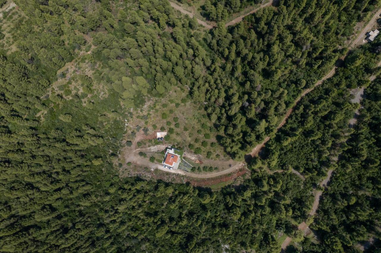 Dream House Capturing The Magic Of Nature Vlachia ภายนอก รูปภาพ