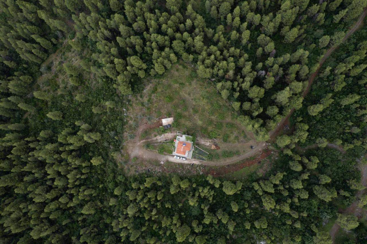 Dream House Capturing The Magic Of Nature Vlachia ภายนอก รูปภาพ